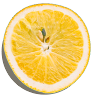 Floating Lemon image on the right